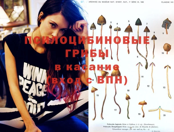 прущая мука Аркадак