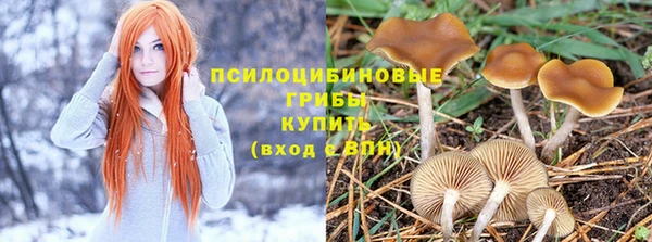 первитин Арсеньев