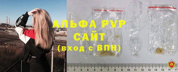 сатива Армянск